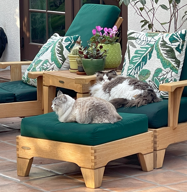 la,lax,ハーツレンタカー,ロサンゼルス,ラスベガス,サンタモニカピア,ミッドウィルシャー,グリフィス天文台