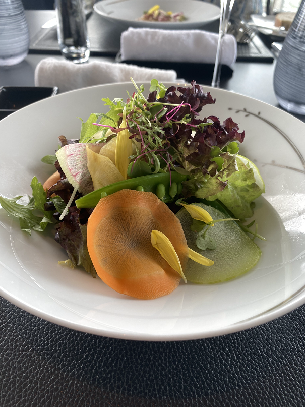 ワクワク体験談