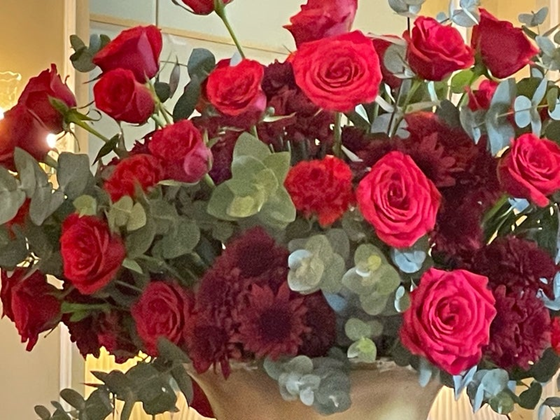 マレーシア,KLセントラル,クアラルンプール,アロフト,KLIAエクスプレス,SQ105,ヌーク,クイックカット,コロニアルカフェ,マジェスティックホテル,アフタヌーンティー