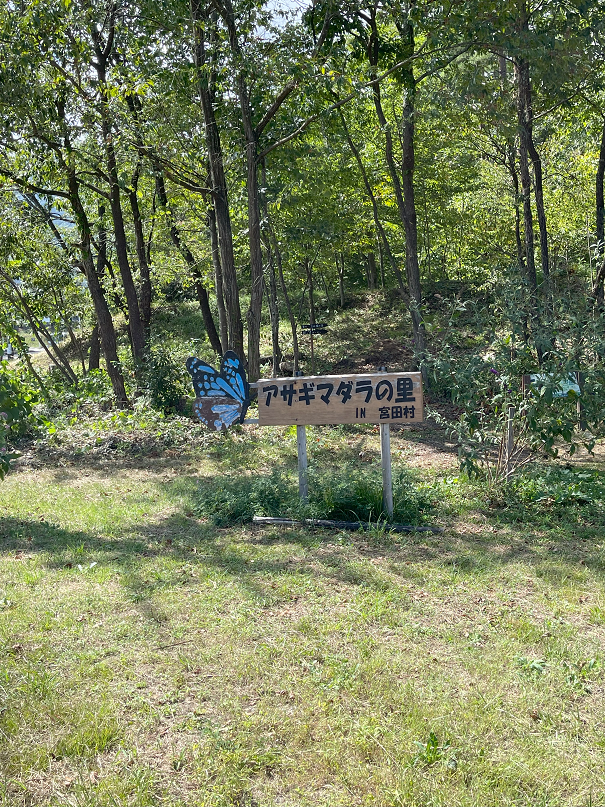 駒ヶ岳千畳敷カールきっぷ