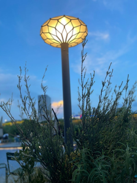 西武,天空ガーデン,芳醇なビール,コーヒーフロート